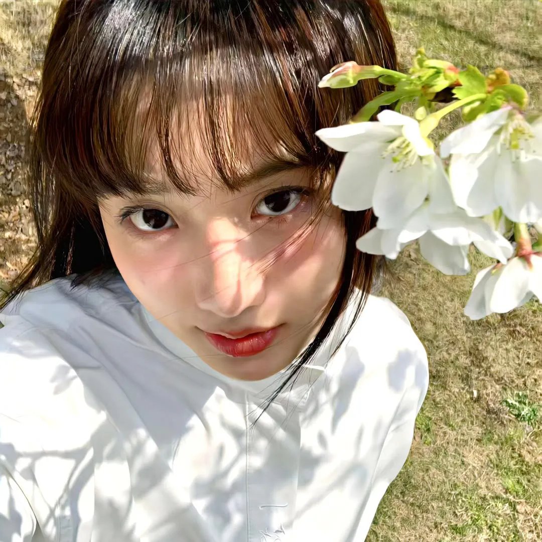 茜茜公主3